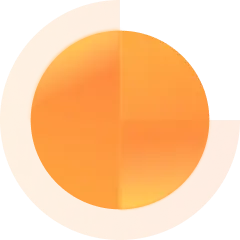 Digital Solution Team